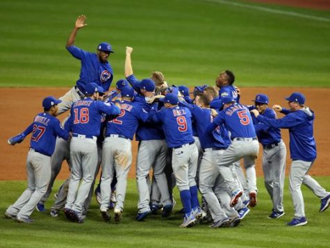 Cubs Win World Series!