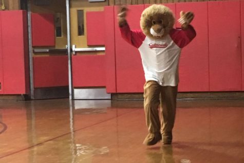 Colonial gains real mascot with Charlie the Cougar costume