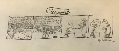 SleeperBall