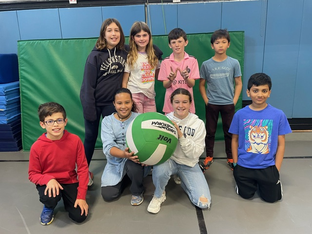 The Volleyball Championship: Golden Tigers vs Green Pizzas